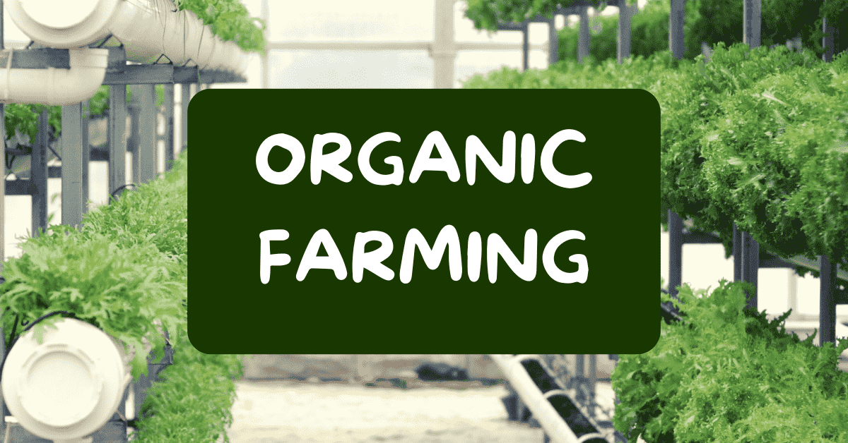 Benefits of Organic Farming