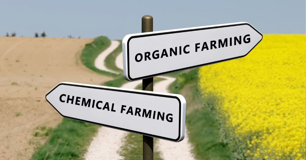 Organic vs. Conventional Farming: A Side-by-Side Comparison