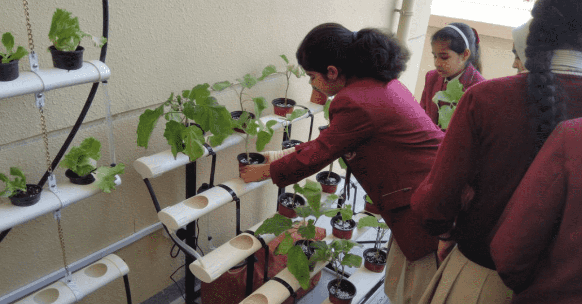 Hydroponic gardening for schools and educational institutions