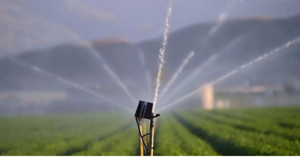 water conservation in organic farming