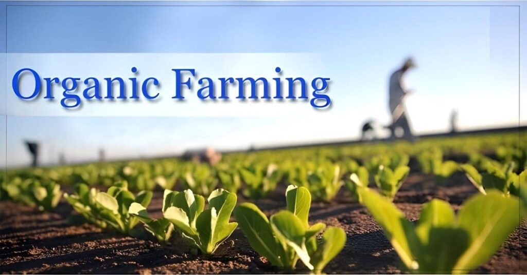 organic farming in developing countries