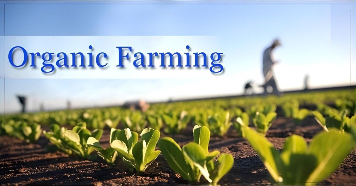 Organic Farming in Developing Countries