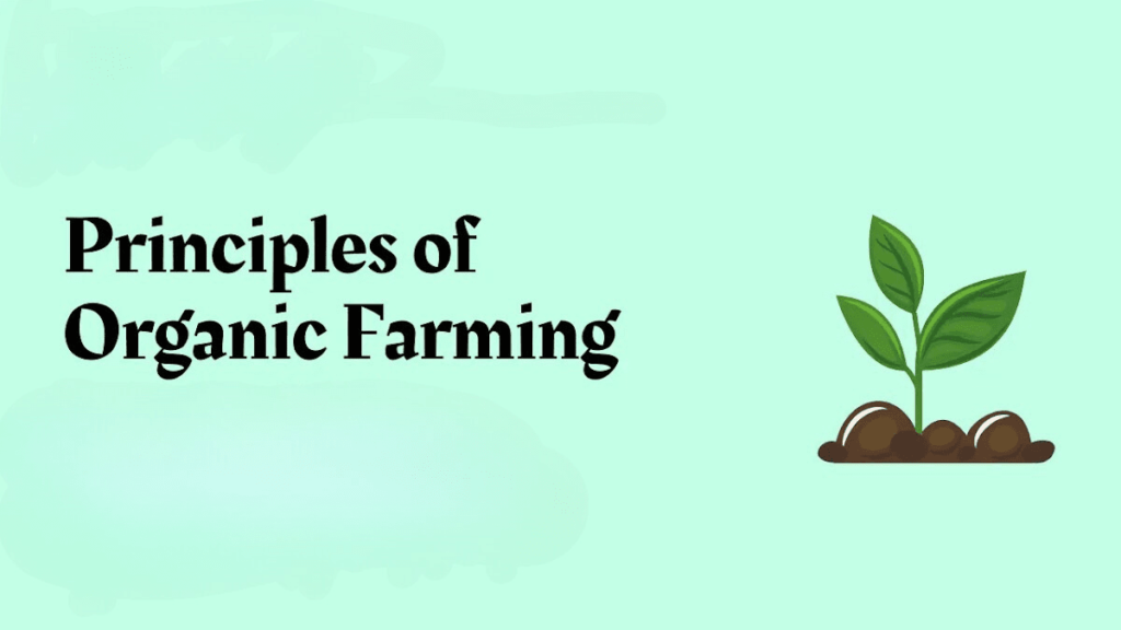 organic farming in rajasthan