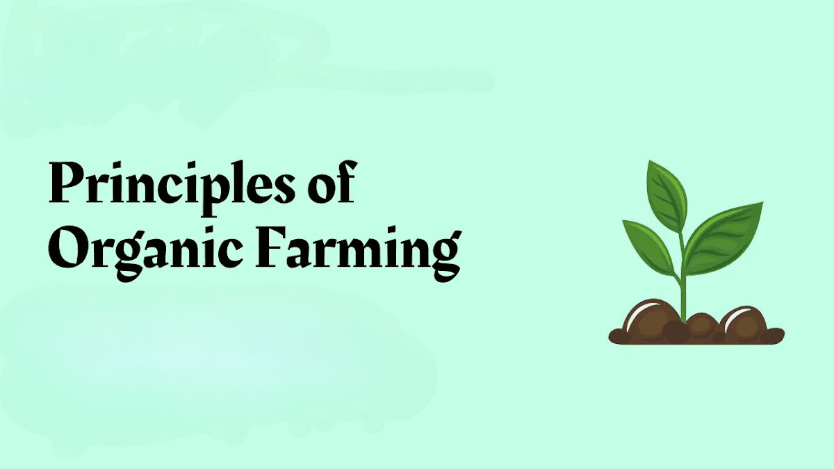 Principles and Practices of Organic Farming