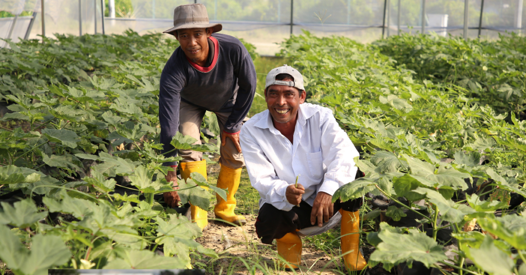 organic farming in rajasthan